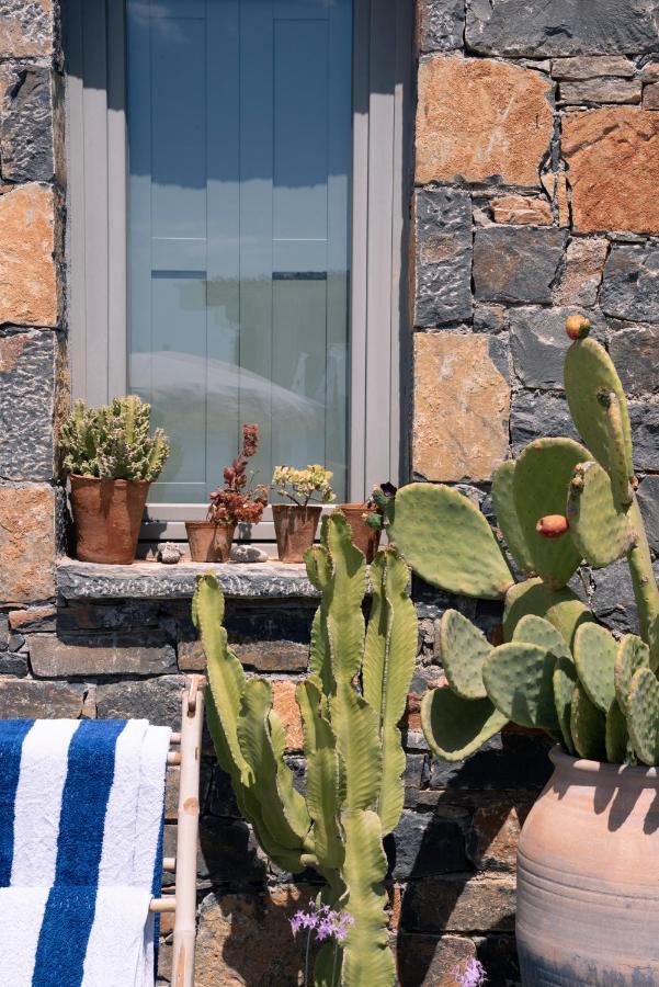 Villa Aiolos: Above The Sea, Within Agios Nikolaos Extérieur photo